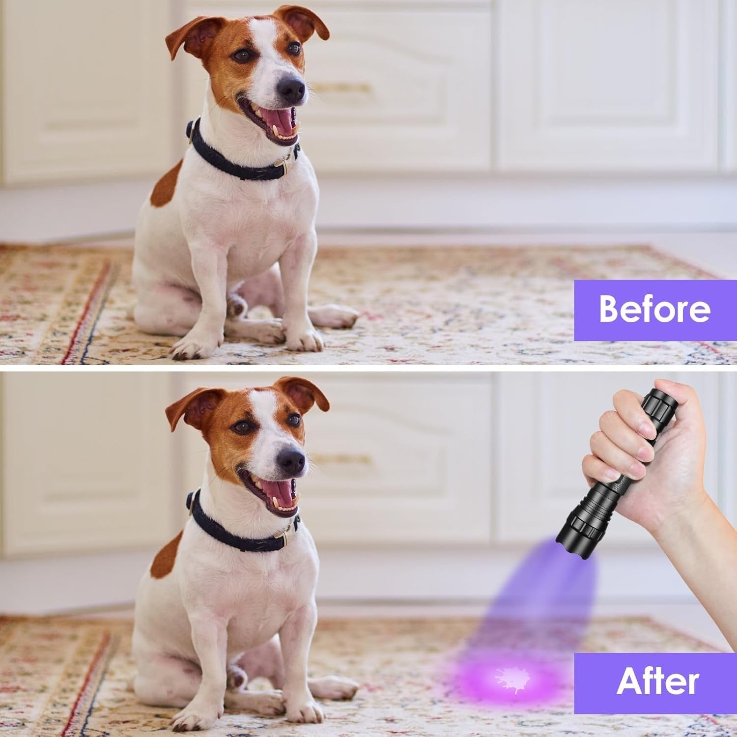 Home Safety 501B 395nm UV Flashlight, Small Blacklight Portable Black Light
