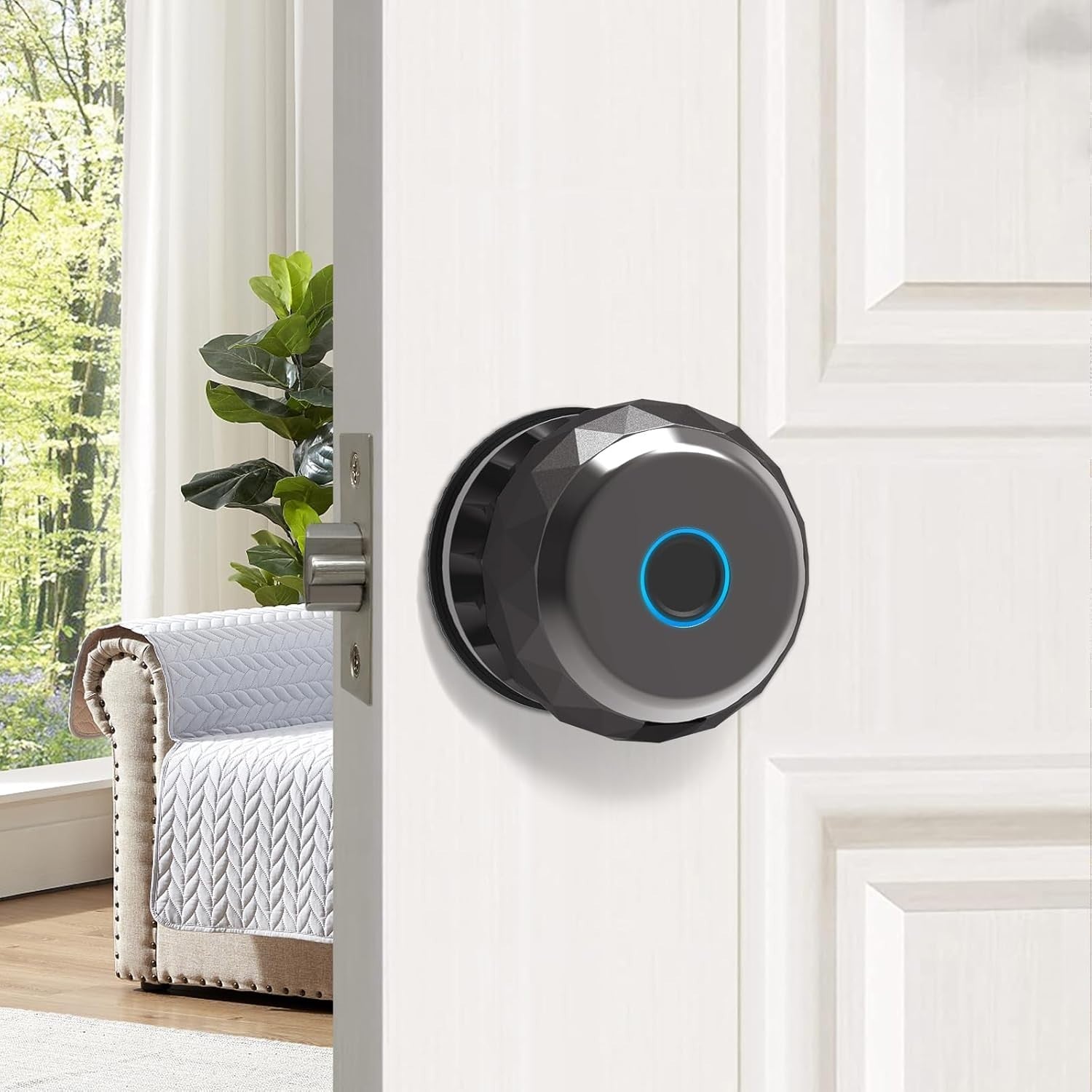 Euphoricca Fingerprint Door Locks for Front Door,Smart Biometric Door Lock,Door