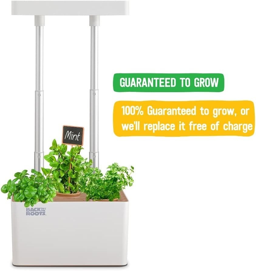 Back to the Roots v1.0 Hydroponic Grow Kit, 2022 Model