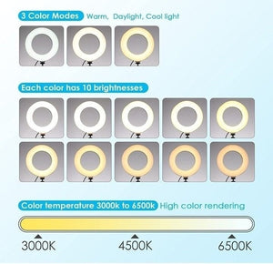 Selfie Ring Light 6.3" with Tripod Stand,Video Conference Lighting LED Mini Desk