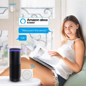 WiFi Security System Door Sensor Compatible Alexa Google Assistant
