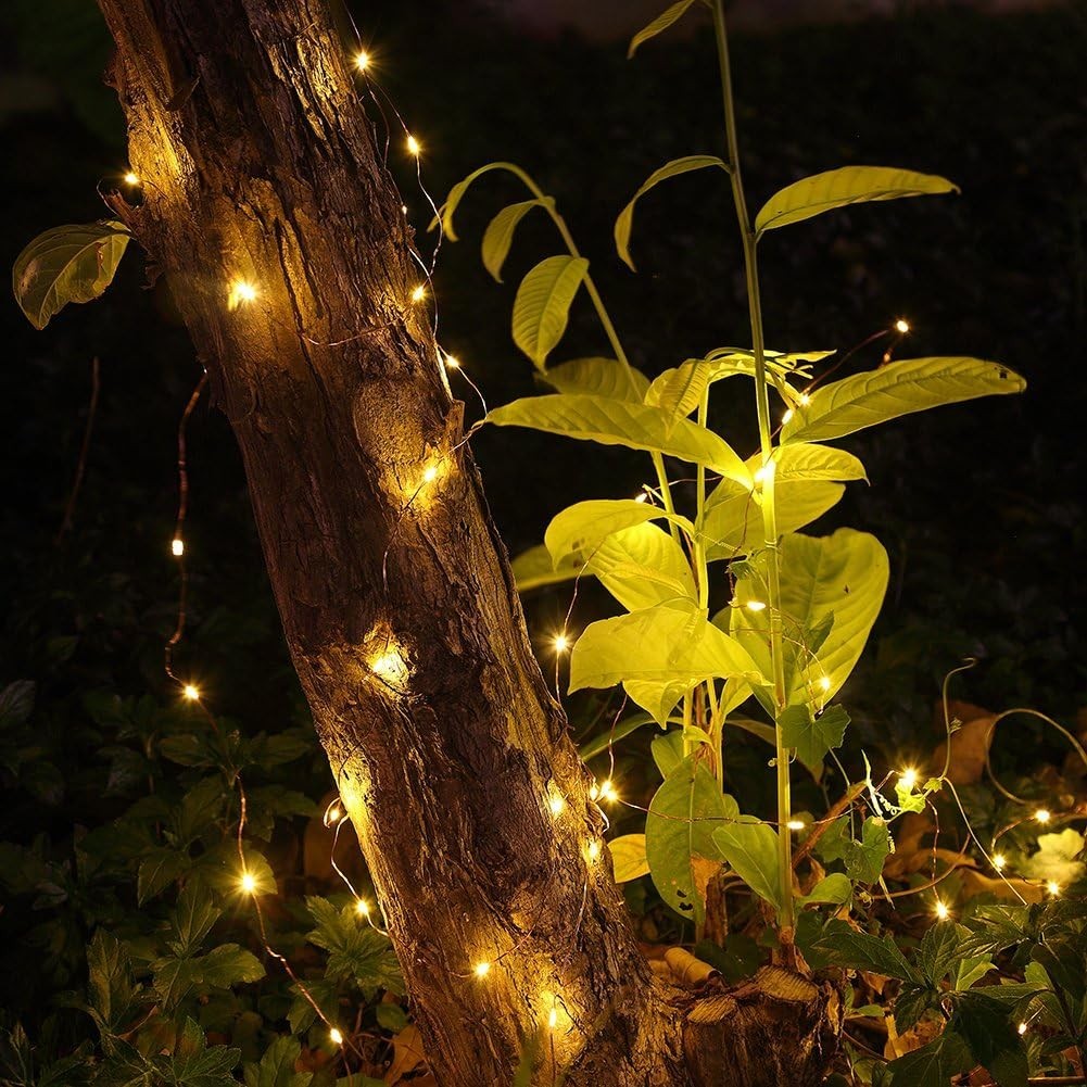 2 Pack 20 Feet 60 Led Fairy Lights Battery Operated with Remote Control Timer, 8