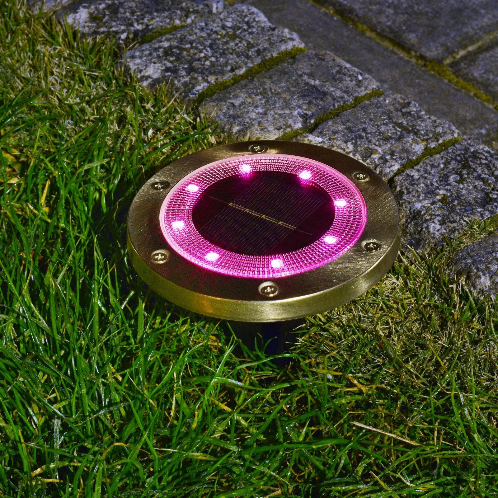 Solar Powered LED Pathway Lights | 8-Pack | 2 Light Modes | Rechargeable Battery