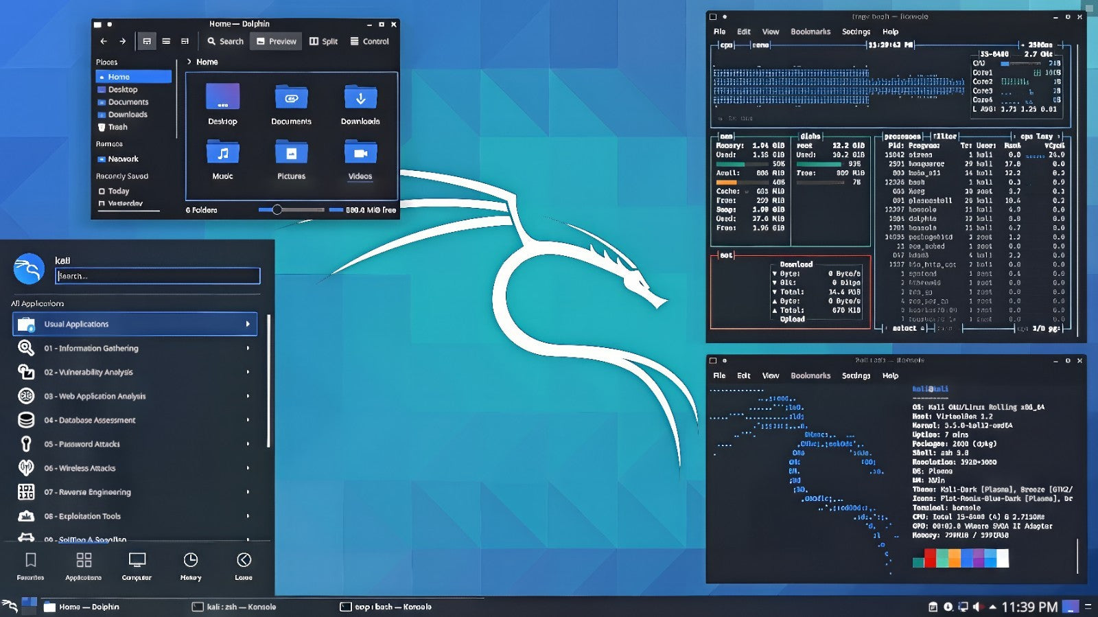 Kali Linux 2025 Latest Version LIVE BOOTABLE DVD KALI HACKER PROGRAMMER LINUX